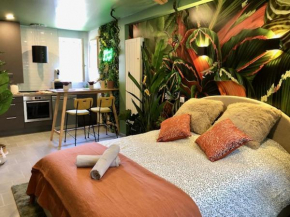 Studio Jungle Climatisé